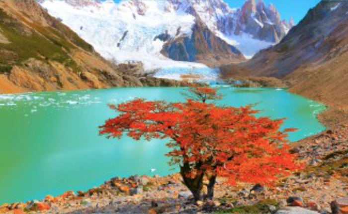 تعدد الذكاءات